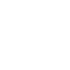 Guardian
