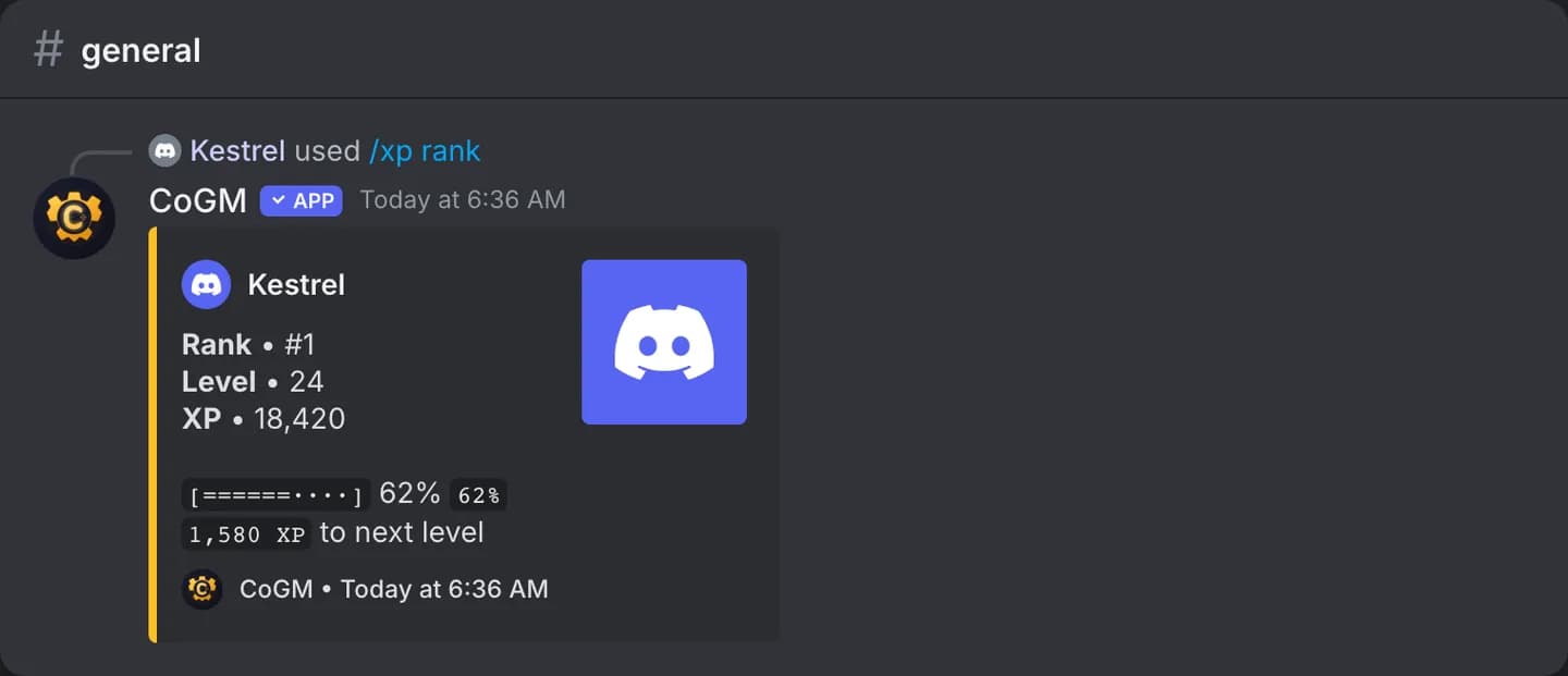 A member's level, XP and server rank from /xp rank