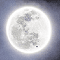 Bright Moon