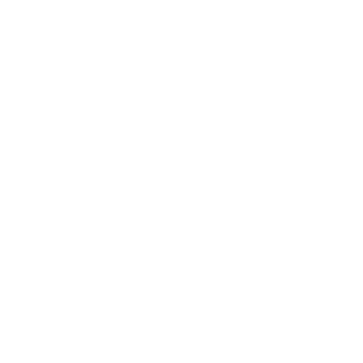 :bdo_guardian: