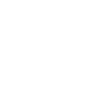 :bdo_valkyrie: