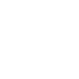 :bdo_warrior: