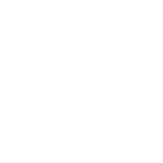:bdo_wizard: