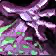 :wow_warlock: