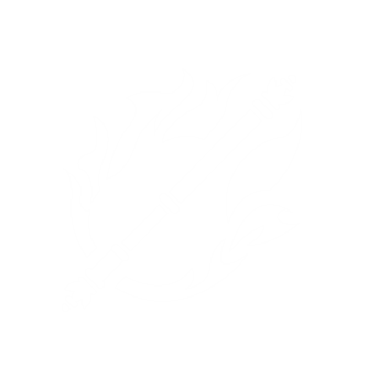 :bdo_wukong: